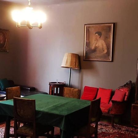 Josephine Central Villa & Garden Kluż-Napoka Zewnętrze zdjęcie