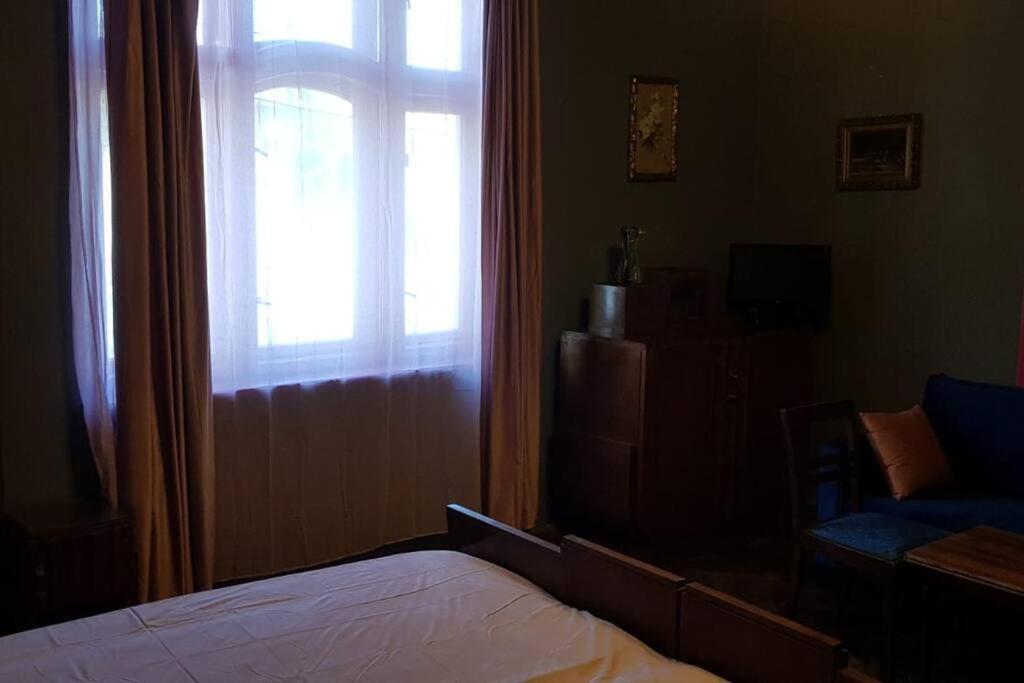 Josephine Central Villa & Garden Kluż-Napoka Zewnętrze zdjęcie