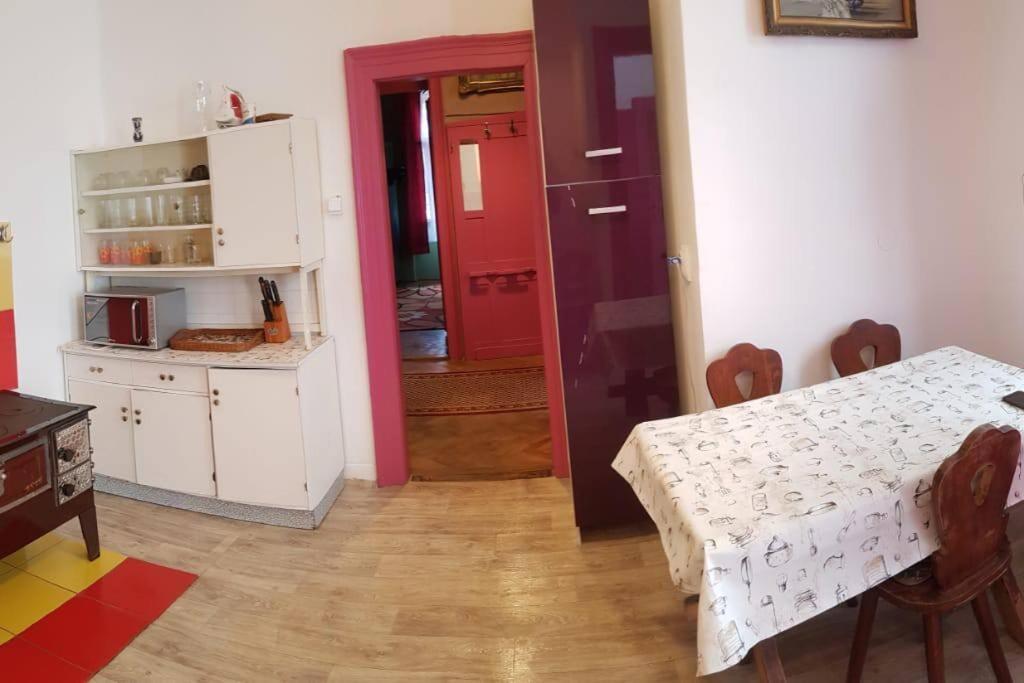 Josephine Central Villa & Garden Kluż-Napoka Zewnętrze zdjęcie