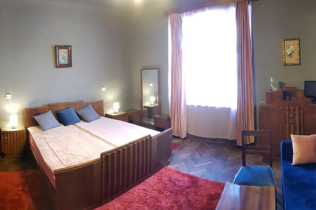 Josephine Central Villa & Garden Kluż-Napoka Zewnętrze zdjęcie