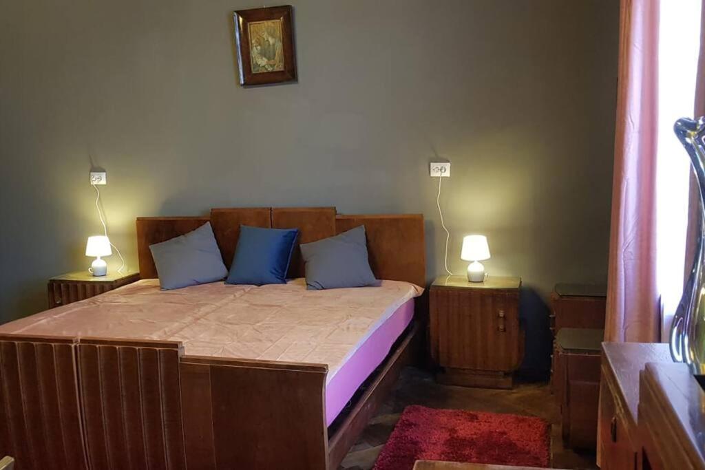 Josephine Central Villa & Garden Kluż-Napoka Zewnętrze zdjęcie